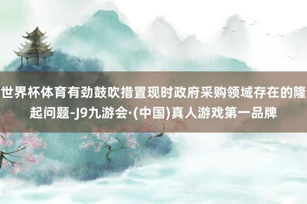 世界杯体育有劲鼓吹措置现时政府采购领域存在的隆起问题-J9九游会·(中国)真人游戏第一品牌