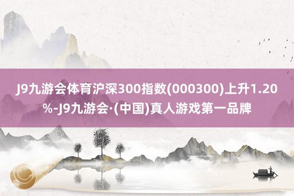 J9九游会体育沪深300指数(000300)上升1.20%-J9九游会·(中国)真人游戏第一品牌