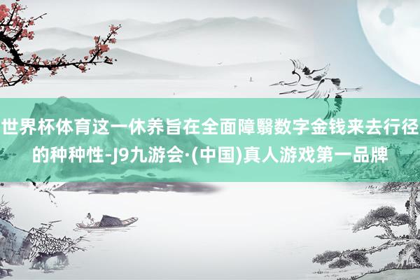 世界杯体育这一休养旨在全面障翳数字金钱来去行径的种种性-J9九游会·(中国)真人游戏第一品牌