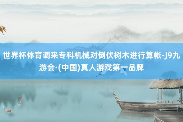 世界杯体育调来专科机械对倒伏树木进行算帐-J9九游会·(中国)真人游戏第一品牌