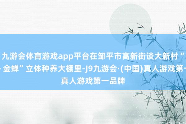九游会体育游戏app平台在邹平市高新街谈大新村“芦笋＋金蝉”立体种养大棚里-J9九游会·(中国)真人游戏第一品牌