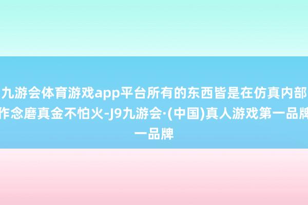 九游会体育游戏app平台所有的东西皆是在仿真内部作念磨真金不怕火-J9九游会·(中国)真人游戏第一品牌