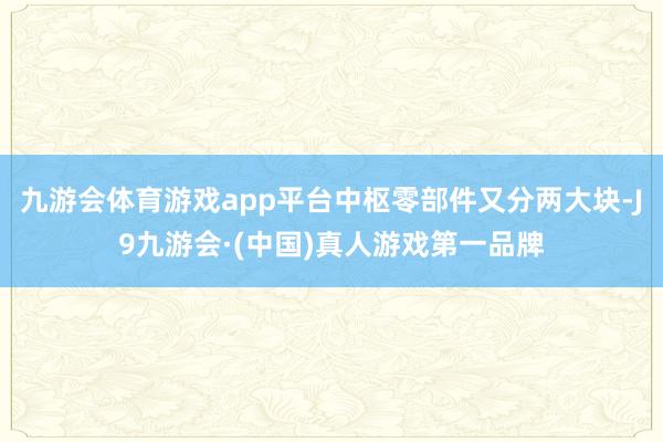 九游会体育游戏app平台中枢零部件又分两大块-J9九游会·(中国)真人游戏第一品牌