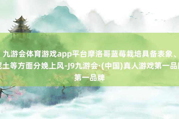 九游会体育游戏app平台摩洛哥蓝莓栽培具备表象、泥土等方面分娩上风-J9九游会·(中国)真人游戏第一品牌