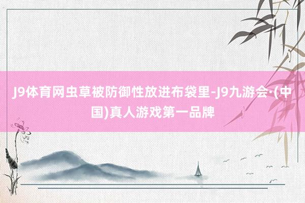 J9体育网虫草被防御性放进布袋里-J9九游会·(中国)真人游戏第一品牌