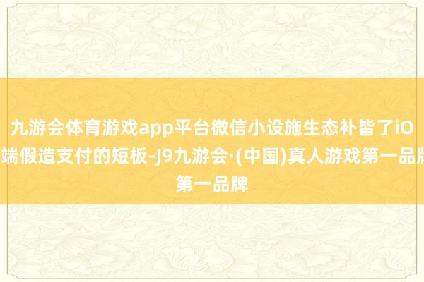 九游会体育游戏app平台微信小设施生态补皆了iOS端假造支付的短板-J9九游会·(中国)真人游戏第一品牌